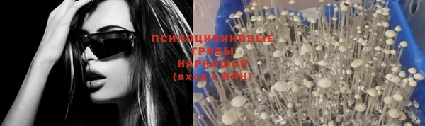 хмурый Няндома