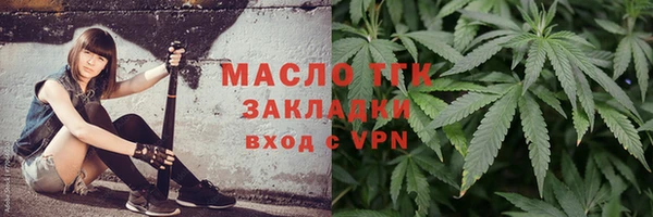 хмурый Няндома