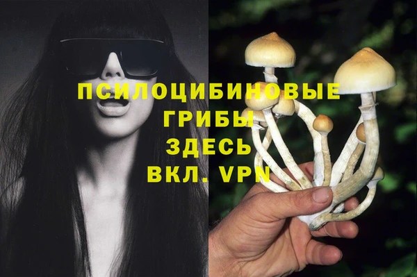 не бодяженный Осташков